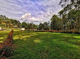  Grundstück zu verkaufen in Rionegro, Antioquia, Rionegro, Antioquia, Kolumbien