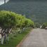  Land for sale in San Lucas, Michoacan, San Lucas