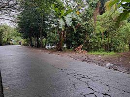  Land for sale in Cavite, Calabarzon, Tagaytay City, Cavite