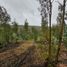  Terreno (Parcela) en venta en Chile, Lolol, Colchagua, Libertador General Bernardo O'Higgins, Chile