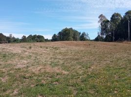  Terreno (Parcela) en venta en Chile, Villarrica, Cautín, Araucanía, Chile