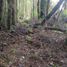  Terreno (Parcela) en venta en Chile, Puerto Montt, Llanquihue, Los Lagos, Chile