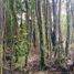  Terreno (Parcela) en venta en Chile, Puerto Montt, Llanquihue, Los Lagos, Chile