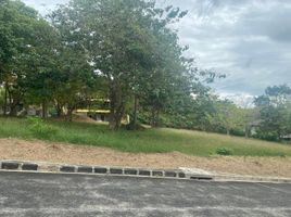  Land for sale in Nasugbu, Batangas, Nasugbu