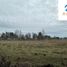  Land for sale in Araucania, Villarrica, Cautin, Araucania
