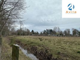  Land for sale in Araucania, Villarrica, Cautin, Araucania