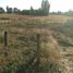  Terreno (Parcela) en venta en Chile, Renaico, Malleco, Araucanía, Chile