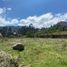  Land for sale in Azuay, Cuenca, Cuenca, Azuay