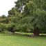  Land for sale in Aguascalientes, Aguascalientes, Aguascalientes, Aguascalientes