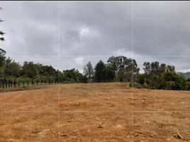  Land for sale in Rionegro, Antioquia, Rionegro