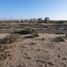 Land for sale in Coquimbo, La Serena, Elqui, Coquimbo