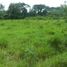  Land for sale in Calamba City, Calabarzon, Calamba City