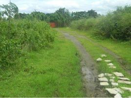  Land for sale in Calamba City, Calabarzon, Calamba City