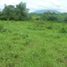  Land for sale in Calamba City, Calabarzon, Calamba City