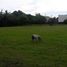  Land for sale in Calamba City, Calabarzon, Calamba City