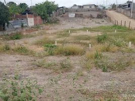  Land for sale in Montecristi, Manabi, Montecristi, Montecristi