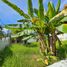  Terreno (Parcela) en venta en Cebu City, Central Visayas, Cebu City, Cebu, Central Visayas, Filipinas