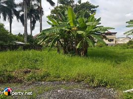  Grundstück zu verkaufen im MARYVILLE SUBDIVISION, Cebu City