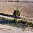 Land for sale in Chile, Los Andes, Los Andes, Valparaiso, Chile