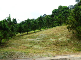  Land for sale in Cavite, Calabarzon, Tagaytay City, Cavite