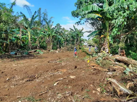  Land for sale in Indang, Cavite, Indang