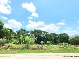  Land for sale in Binangonan, Calabarzon, Binangonan