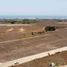  Land for sale in Dist Pochutla, Oaxaca, Dist Pochutla