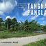  Land for sale in Panglao, Bohol, Panglao