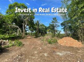  Land for sale in Panglao, Bohol, Panglao