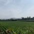  Land for sale in Huacho, Lima, Huacho