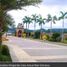  Land for sale in Minglanilla, Central Visayas, Minglanilla