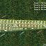  Land for sale in Cozumel, Quintana Roo, Cozumel, Quintana Roo