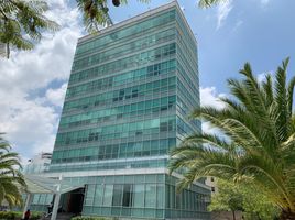 440 m² Office for rent in Leon, Guanajuato, Leon