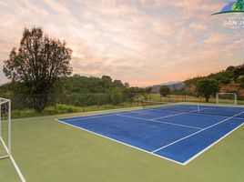  Land for sale in Chile, Maria Pinto, Melipilla, Santiago, Chile