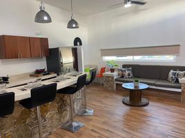 1 Habitación Apartamento en alquiler en Merida, Yucatán, Merida, Yucatán