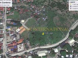  Land for sale in Cordova, Cebu, Cordova