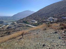  Land for sale in Chile, Coquimbo, Elqui, Coquimbo, Chile