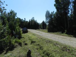  Land for sale in Chile, Mariquina, Valdivia, Los Rios, Chile