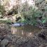  Land for sale in Chile, Mariquina, Valdivia, Los Rios, Chile
