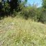  Land for sale in Chile, Mariquina, Valdivia, Los Rios, Chile