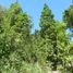  Land for sale in Chile, Mariquina, Valdivia, Los Rios, Chile