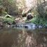  Land for sale in Chile, Mariquina, Valdivia, Los Rios, Chile