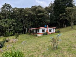 2 Habitación Villa en alquiler en Colombia, Medellín, Antioquia, Colombia