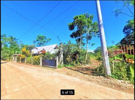  Land for sale in Hinagdanan Cave, Dauis, Dauis