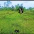  Land for sale in Bohol, Central Visayas, Dauis, Bohol