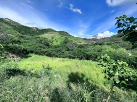  Land for sale in Malacatos Valladolid, Loja, Malacatos Valladolid, Loja, Loja