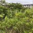 在Compostela, Cebu出售的 土地, Compostela