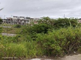 在Compostela, Cebu出售的 土地, Compostela