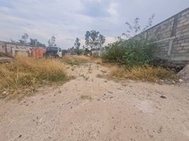  Land for sale in Tarimbaro, Michoacan, Tarimbaro