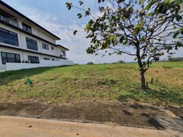  Terreno (Parcela) en venta en Calamba City, Calabarzon, Calamba City